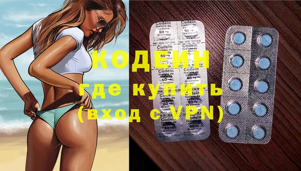 индика Переславль-Залесский