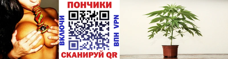 Шишки марихуана OG Kush  Покров 